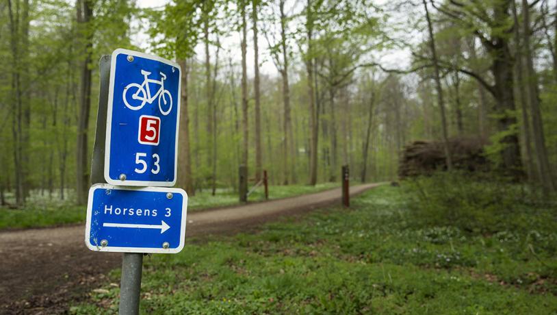 Schild im Wald von Boller im Küstenland