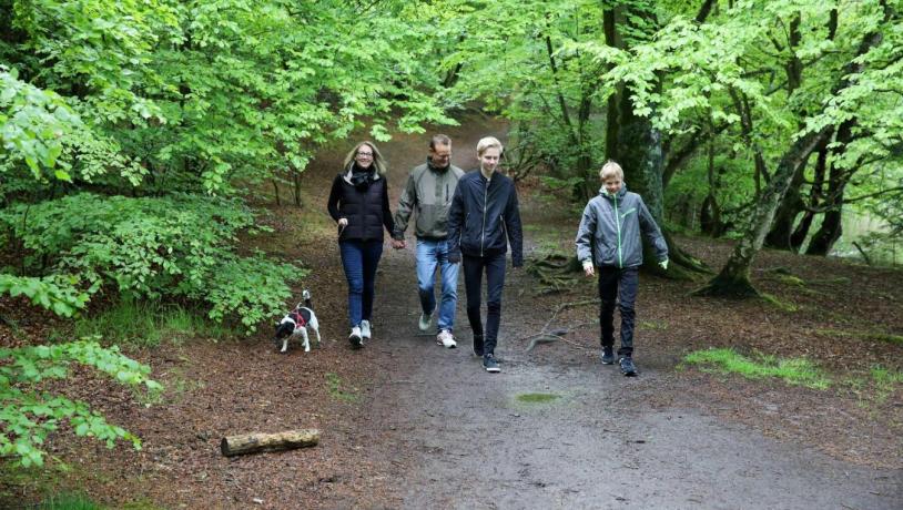 Familie geht mit Hund im Wald spazieren