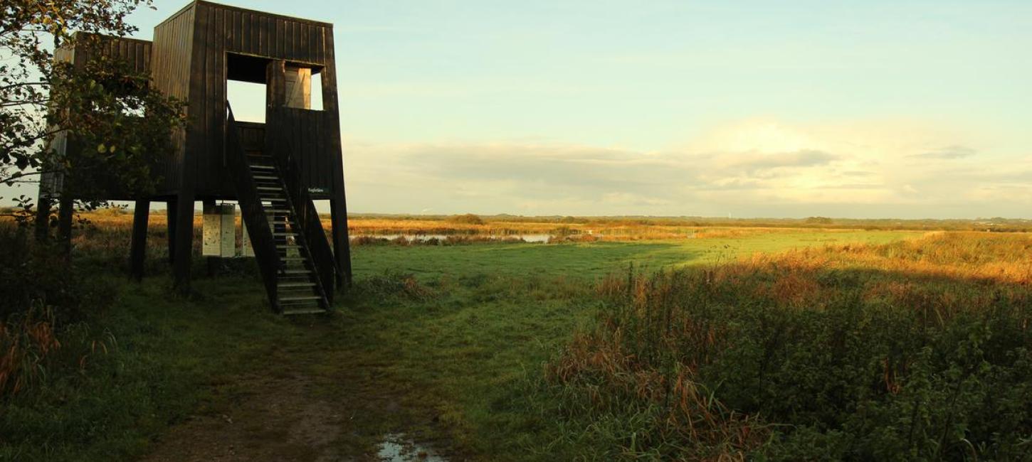 Vogelturm Uldum Kær