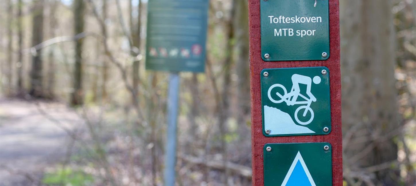 Schild für den blauen Trail auf der Mountainbike-Route im Tofteskov in Juelsminde