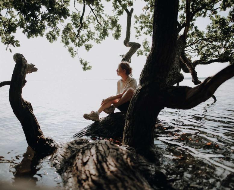 Husodde ved Horsens Fjord
